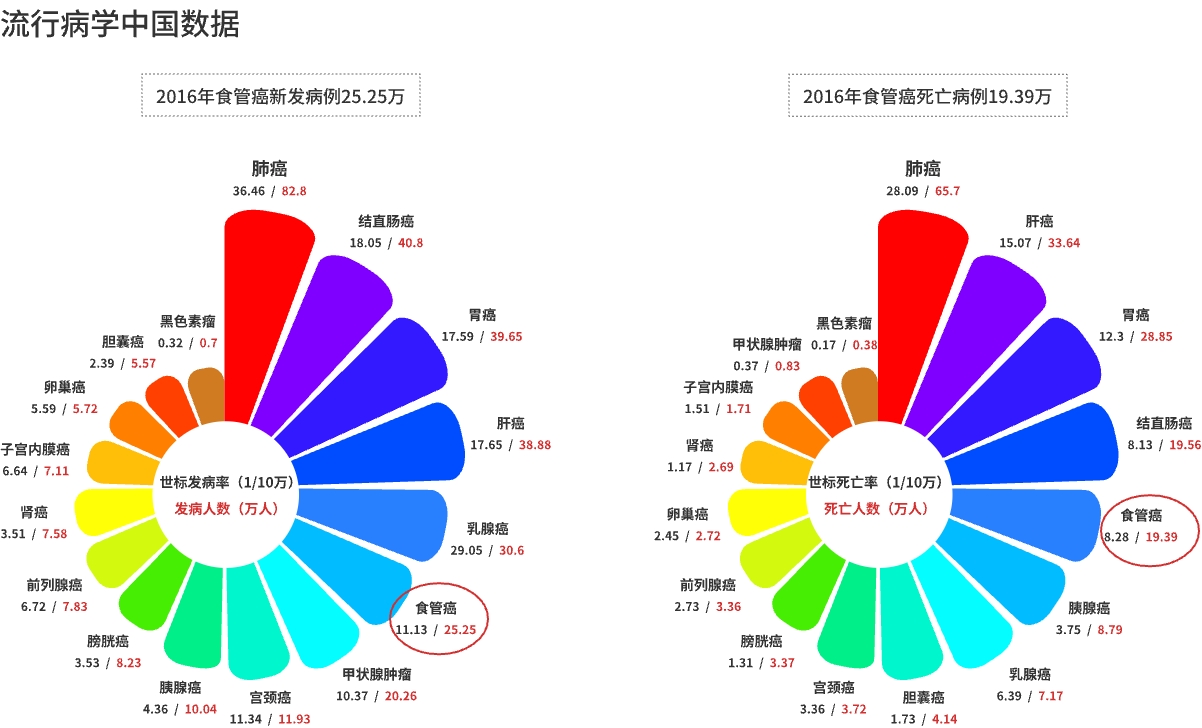 中国数据.jpg