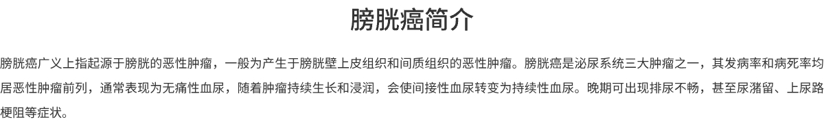 简介.jpg