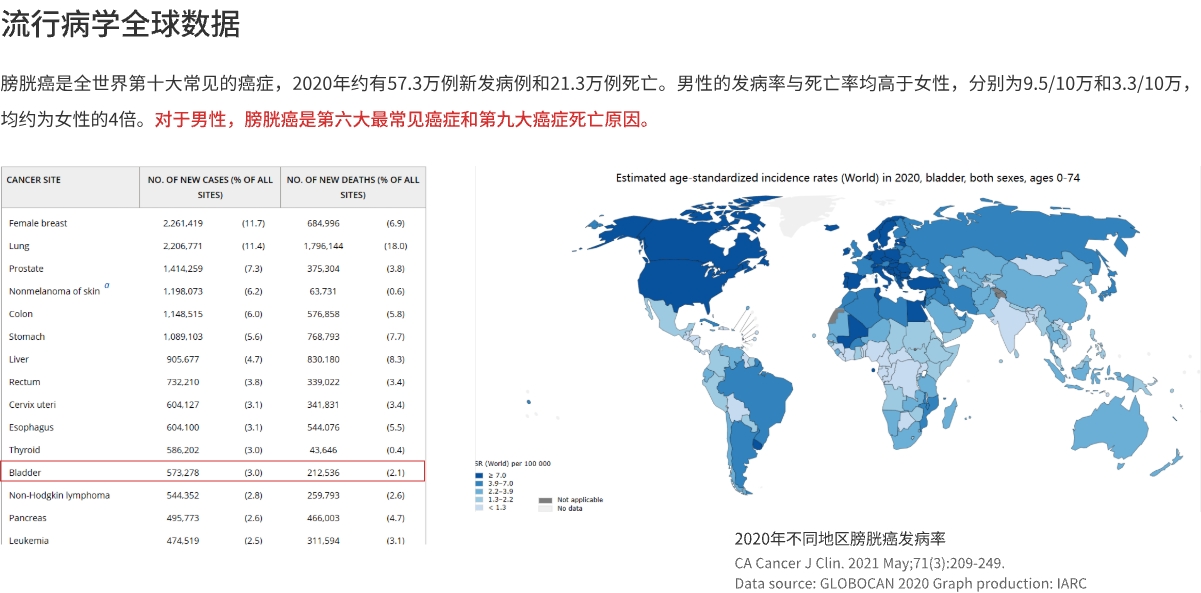 全球数据.jpg