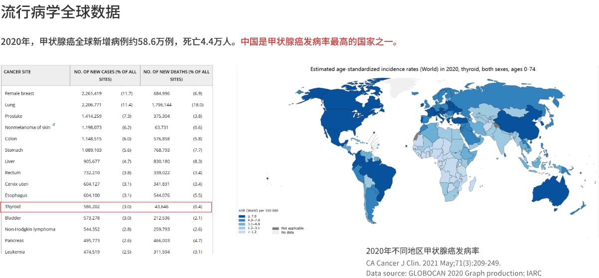 全球数据.jpg