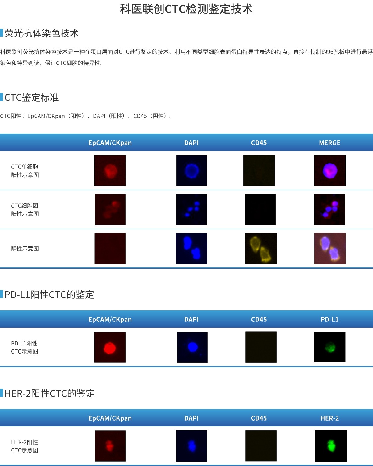 鉴定技术.jpg