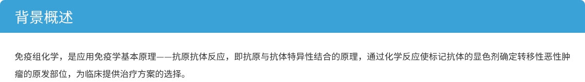 背景.jpg