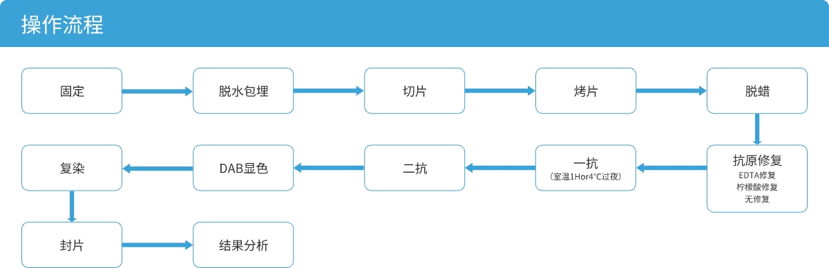 流程.jpg