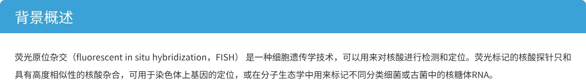 背景.jpg