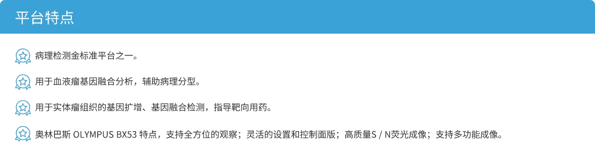 特点.jpg