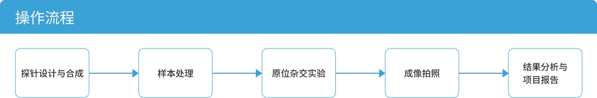 流程.jpg