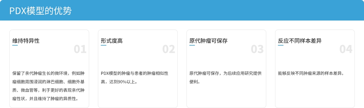 优势.jpg